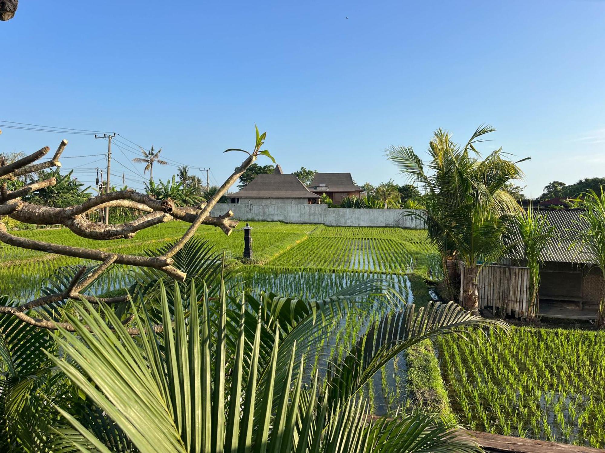 Unit Space Village Canggu Εξωτερικό φωτογραφία